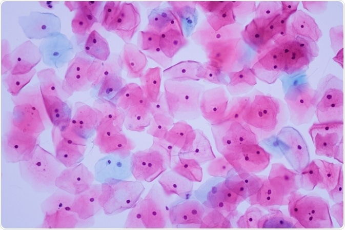 耶魯大學(xué)醫(yī)學(xué)院| TissueFAXS Cytometry技術(shù)探秘單個免疫細(xì)胞微環(huán)境
