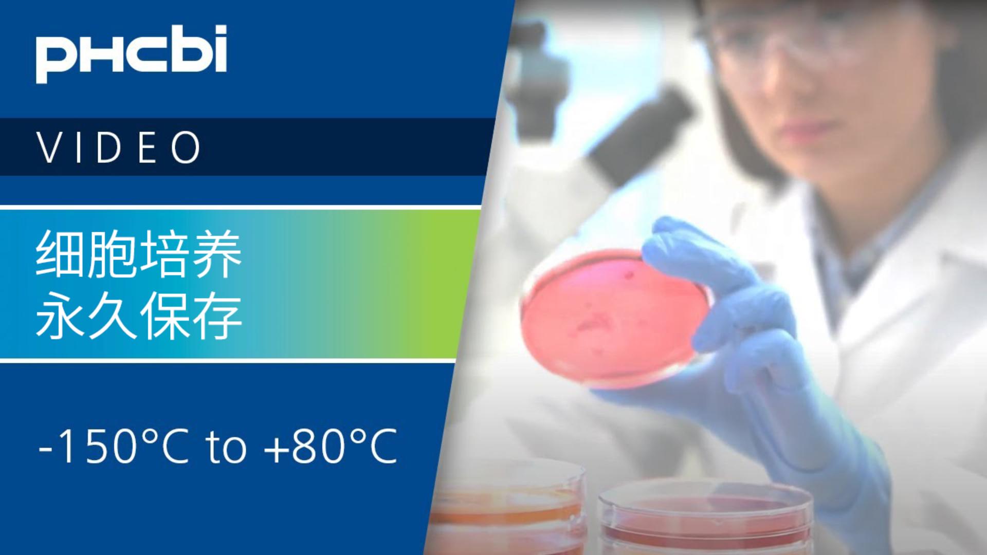 PHCbi 品牌產(chǎn)品可幫助您培養(yǎng)細胞并永久保存它們